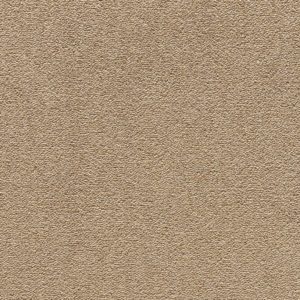 ΜΟΚΕΤΑ CONGRESS 38