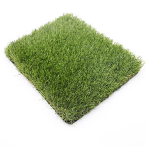 ΓΚΑΖΟΝ EVERGREEN 33