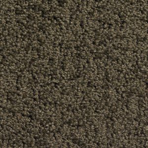 ΔΙΑΔΡΟΜΟΣ CONTINENTAL – 80